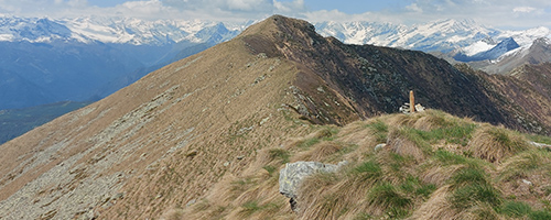 Valli e Terre di Susa